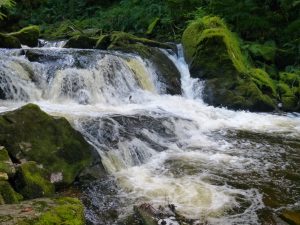 P1100155